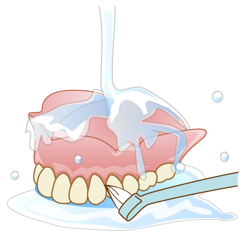 義歯ブラシによる洗浄